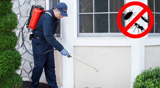 Boyalık Dezenfeksiyon böcek ilaçlama ve haşere kontrolü — ilaclama-tr.com